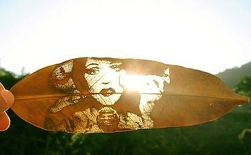 激光雕刻树叶 给你不一样的视觉体验