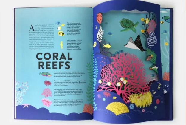 激光镂空儿童绘本 开启知识的海洋