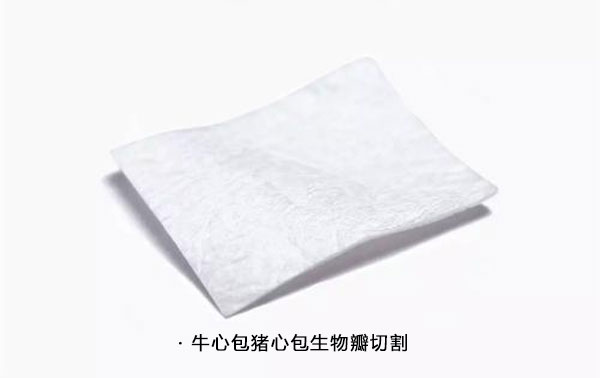 生物瓣膜（牛心包膜，猪心包膜）激光切割机